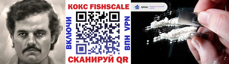 COCAIN FishScale  цена   KRAKEN зеркало  Ялуторовск 