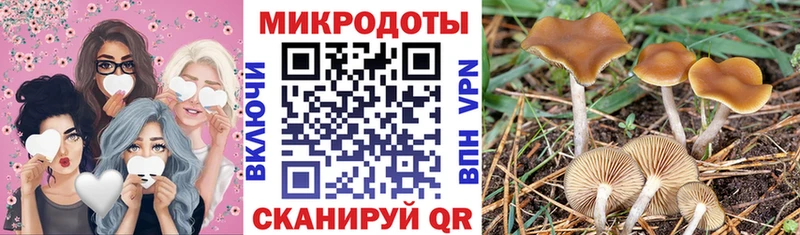 дарк нет наркотические препараты  цена наркотик  Ялуторовск  Псилоцибиновые грибы ЛСД 