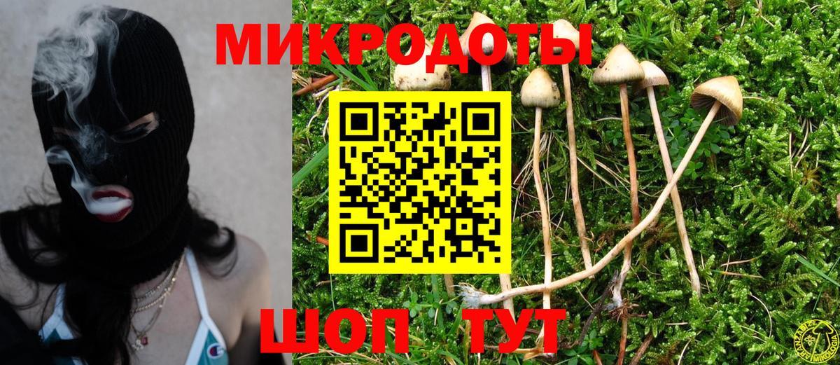 Ялуторовск  Галлюциногенные грибы Cubensis  Вход с VPN 