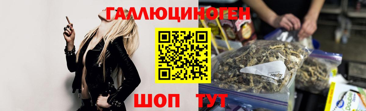 Псилоцибиновые грибы Psilocybe Ялуторовск
